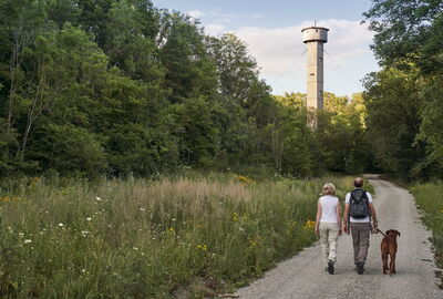 Wanderer mit Hund auf dem Weg zum Heldrastein