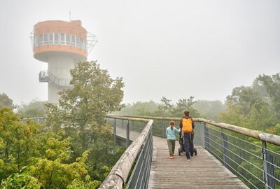 Familie auf dem Baumkronenpfad im Nationalpark Hainich im Nebel. Im Hintergrund der Aussichtsturm.