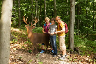 Familie auf dem Pirschpfad Dieterode