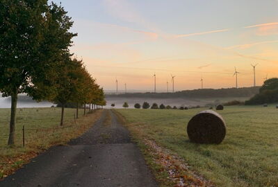 Morgennebel bei Effelder