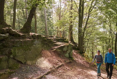 Roter Buntsandstein prägt den Höhenzug