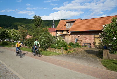 Zwei Radfahrer am Werratalradweg in Lindewerra