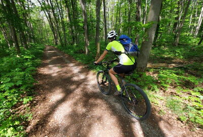Radfahren im Nationalpark Hainich