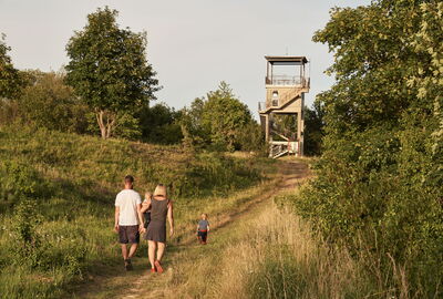 Aussichtsturm Point India am Premiumwanderweg P21