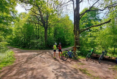 Radfahren im Nationalpark Hainich, hier beim Pausieren an der Betteleiche