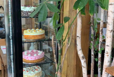 Zu sehen ist ein Kuchenkühlschrank in dem man die verschiedenen Torten sieht
