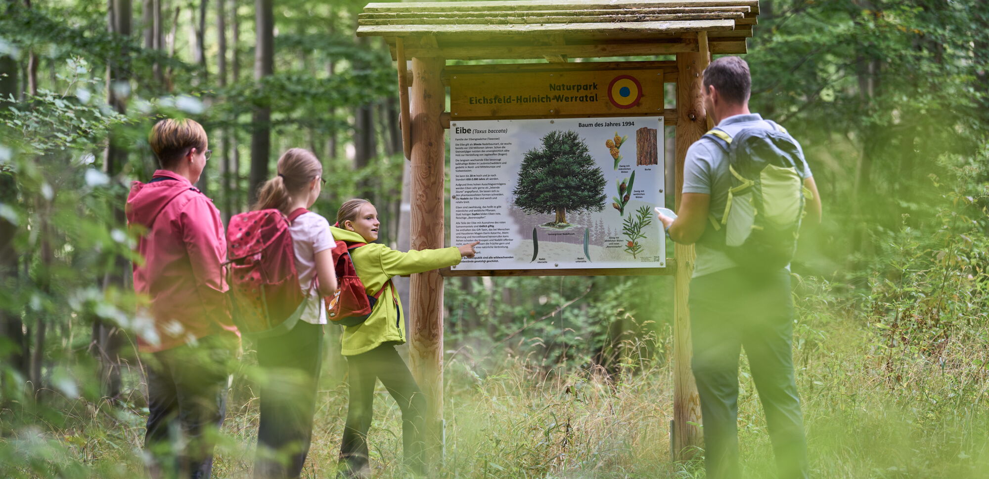 Familie an einer Infotafel zur Eibe im Naturschutzgebiet Lengenberg im Eichsfeld