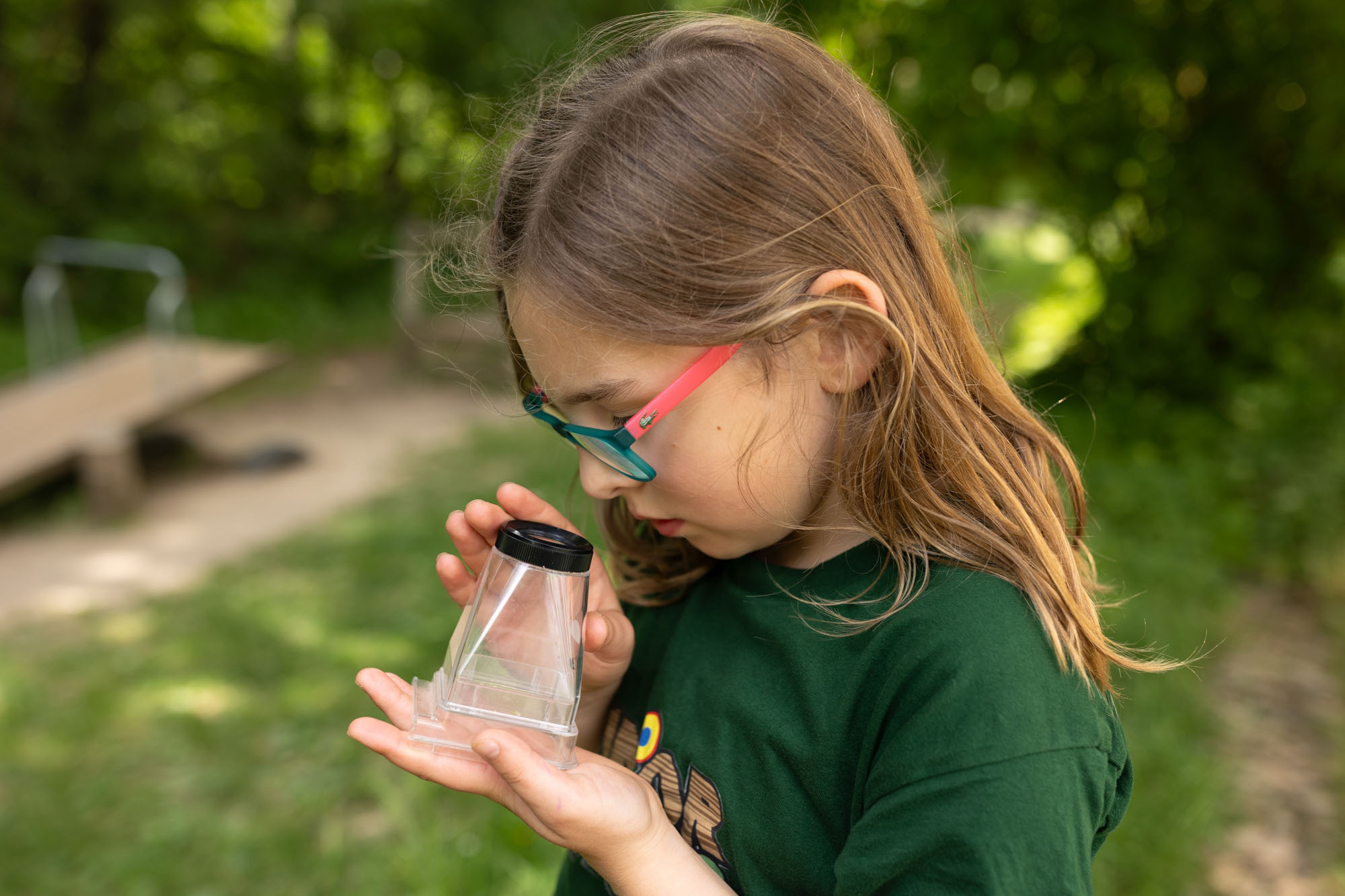 Junior Ranger im Naturpark Eichsfeld-Hainich-Werratal