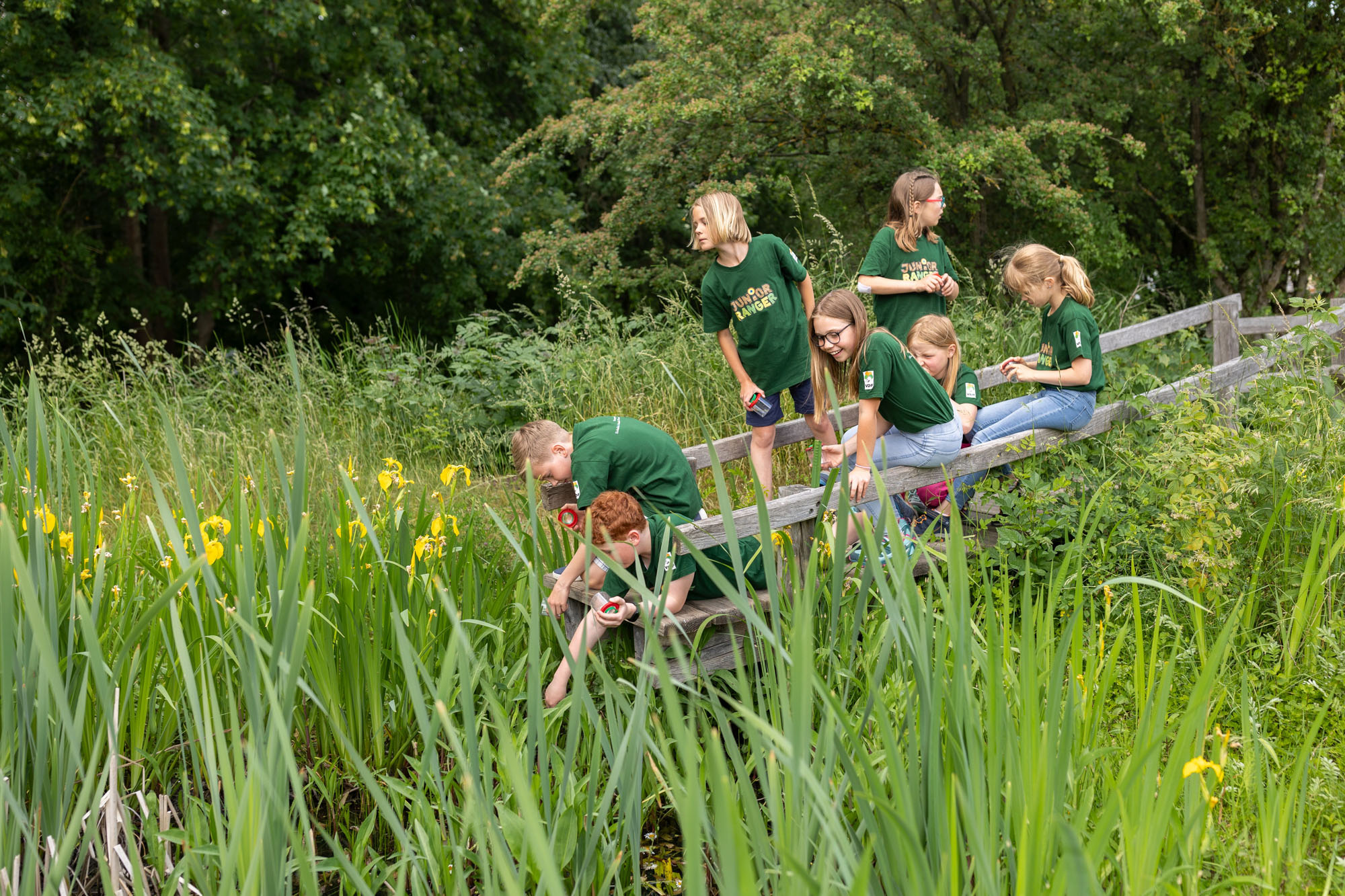 Junior Ranger im Naturpark Eichsfeld-Hainich-Werratal